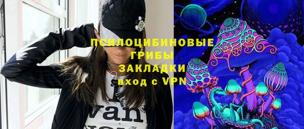 apvp Абаза