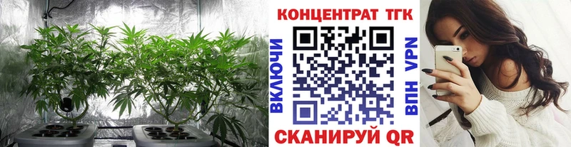 OMG рабочий сайт  Усть-Илимск  ТГК THC oil  купить  сайты 
