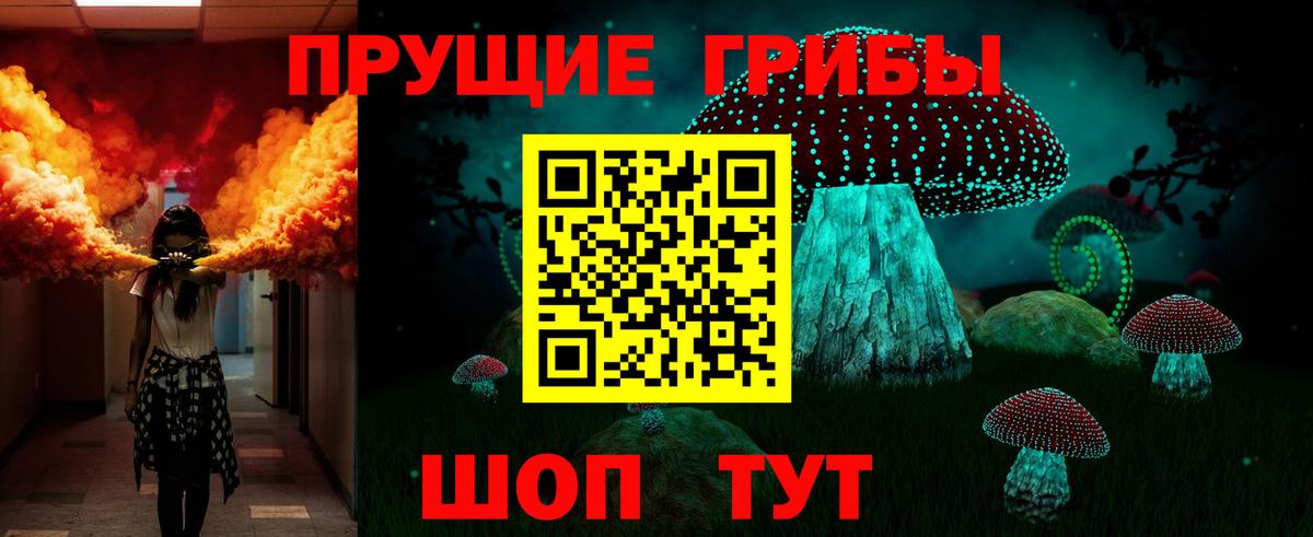 Псилоцибиновые грибы GOLDEN TEACHER Усть-Илимск