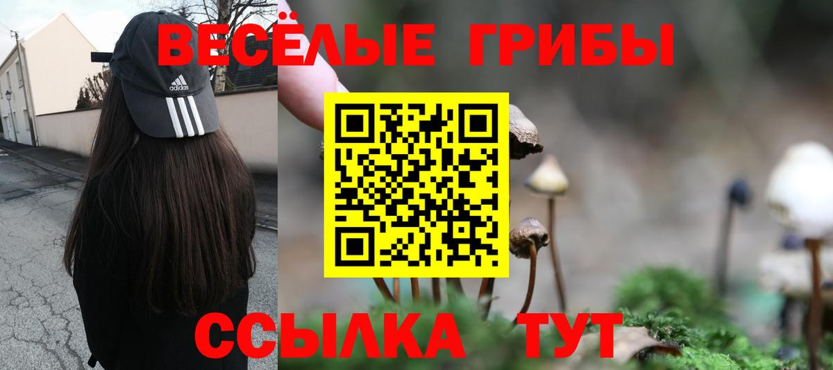 Усть-Илимск  Галлюциногенные грибы ЛСД  Вход с VPN 